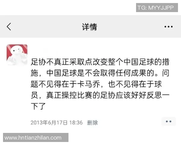 昔日中国足球明星的陨落与低谷揭秘他们的困境与中国足球的衰退之路