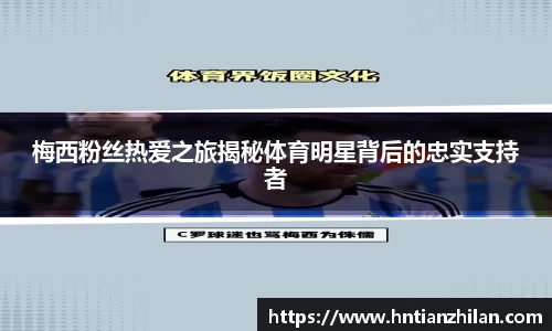 星空.综合体育官网
