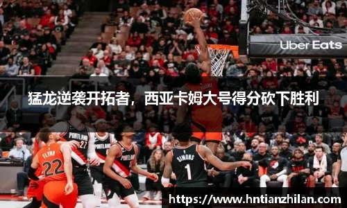 星空.综合体育官网